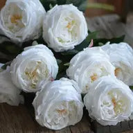 17"Premium Real Touch English Austin Cabbage Rose Stem Color White