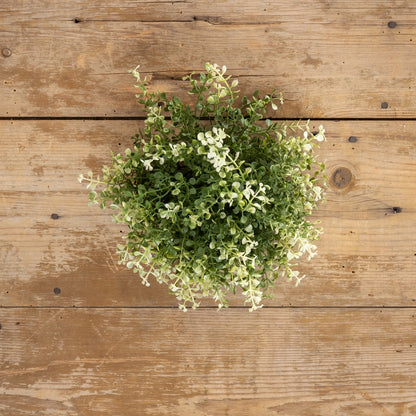 7" Baby's Grass Half Ball